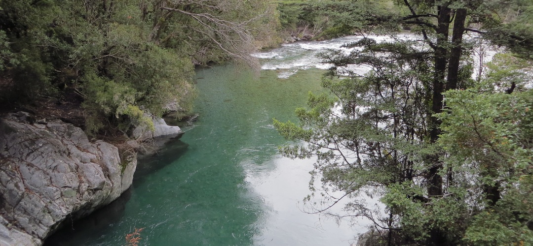 The Sabine River near the lower bridge, Nelson Lakes National Park