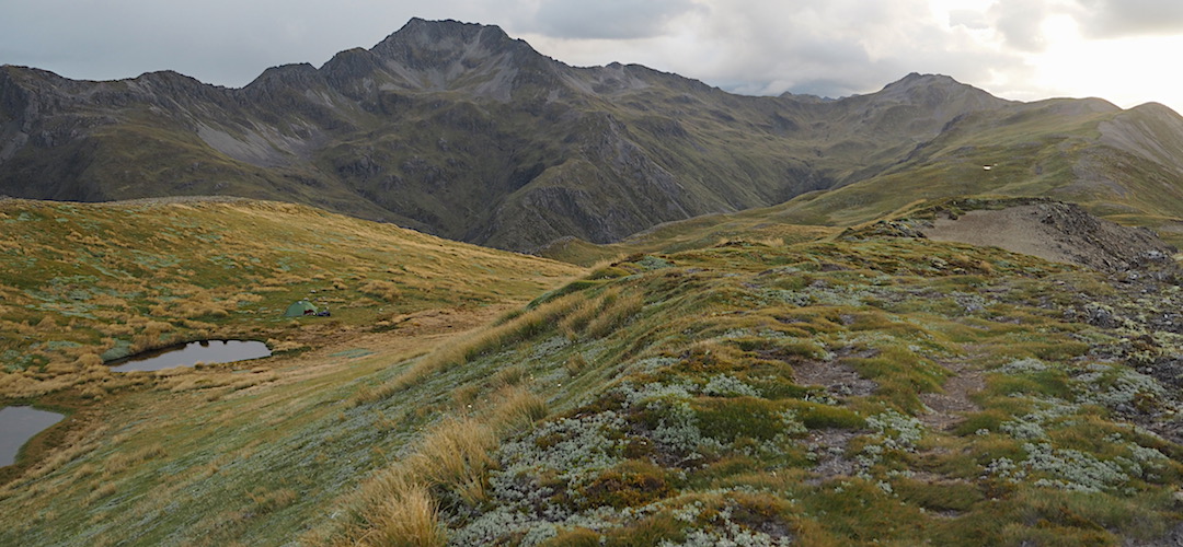 Excellent campsite on the Lewis Tops with Mt Technical, 1870 m, lurking behind.