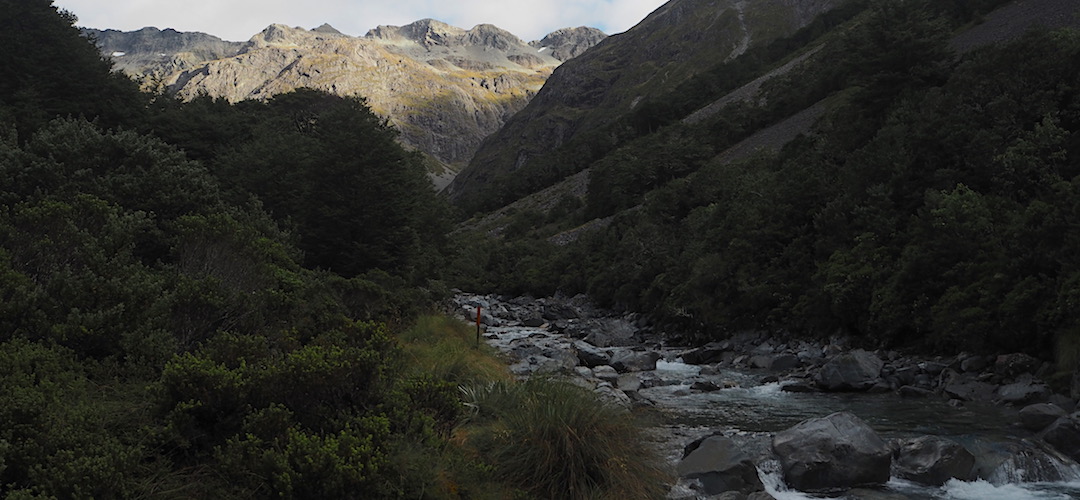 Top of the Waiau River with Waiau Pass up top. Get there in a few hours.