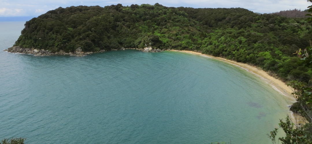 Te Puketea Bay, Coastal Track, Abel Tasman National Park