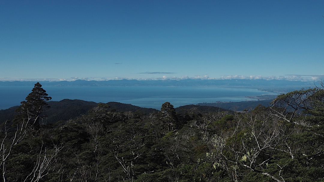 View from Porters Rocks. |  Inland Track, Abel Tasman National Park 