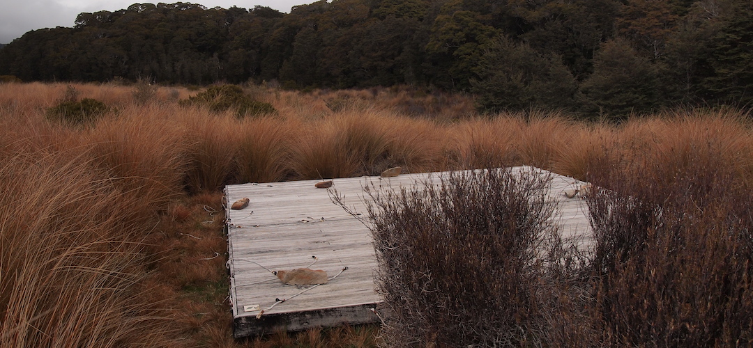 Gouland Downs camping, Heaphy Track, Kahurangi National Park