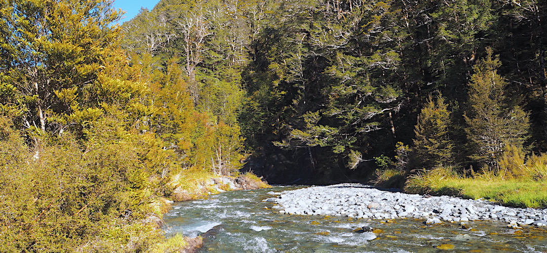 Heading downstream to the Marble Hill carpark. | Pell Stream, Lewis Pass