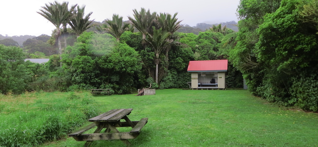 Heaphy Hut campsite, Heaphy Track, Kahurangi National Park