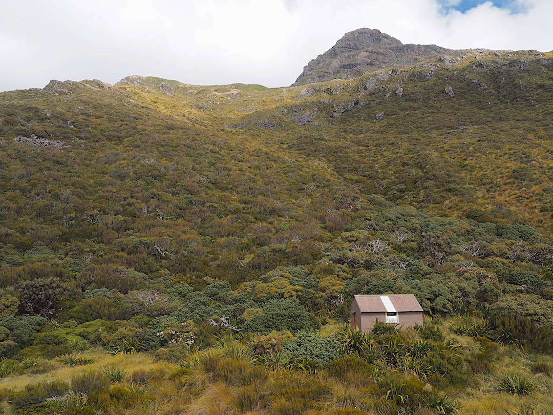 Townsend Hut. | Taramakau Valley, Arthurs Pass National Park