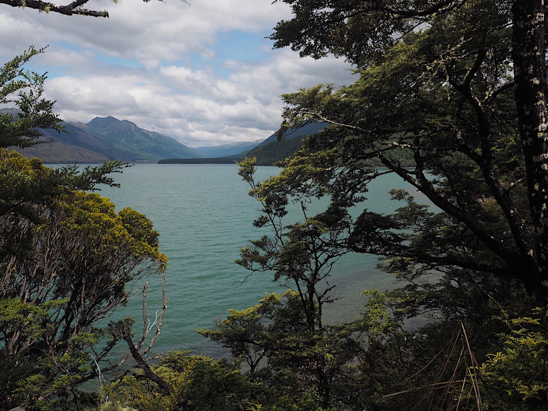 Lake Sumner looking up the Hurunui Valley. | Lake Sumner Forest Park