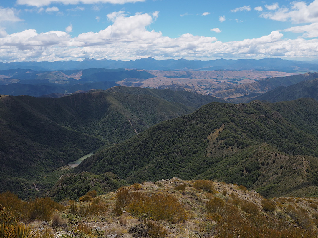 The Richmond Range across the Wairau Valley and Lake Alexander below. | Ferny Gair Conservation Area