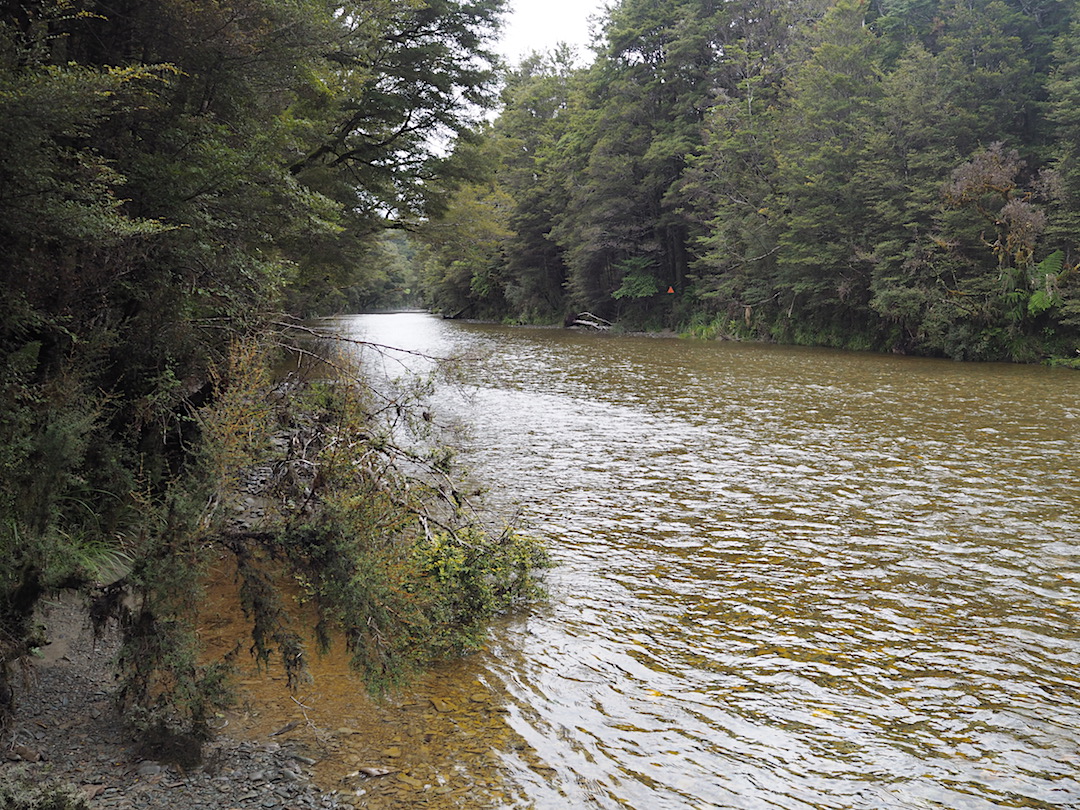 Smoothwater River. Cross up there where the marker is. There is plenty of this. | On way to Stafford Bay, south of Jackson Bay