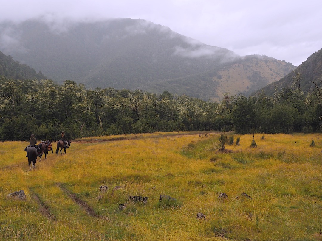 50 mm of rain fell during the day apparently while I read a book in Steyning Hut. The gals rode through.