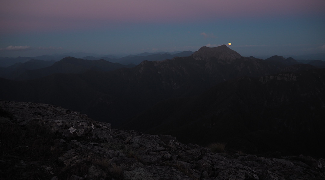 Full Moon rising over Mt Fishtail from Mt Fell. | Mt Richmond Forest Park  Circuit, April 2018