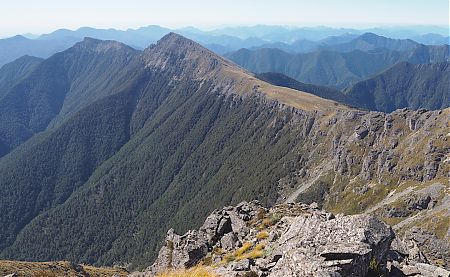 The Mt Fell ridge from Mt Richmond, with The Sounds beyond.To swingbridges over the Pelorus River branches at Roebuck Hut. | Mt Richmond Forest Park  Circuit, April 2018