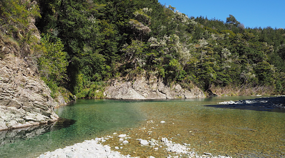 The Goulter River at a low flow time.  | Mt Richmond Forest Park circuit, April 2018
