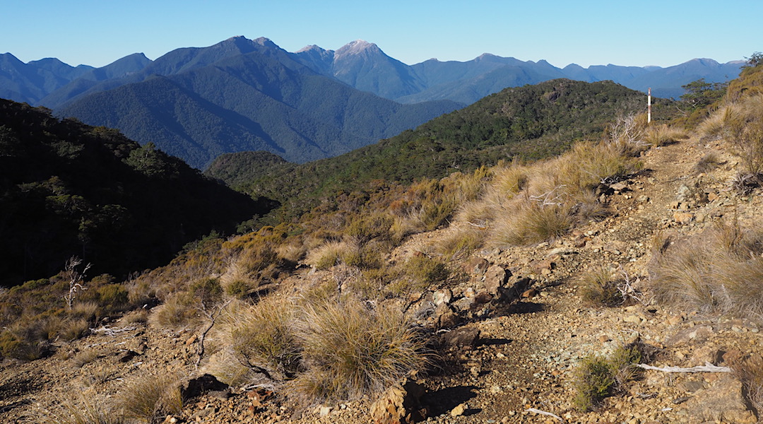 Last look back to Mt Richmond, etc, on the way to Dun Saddle.  | Mt Richmond Forest Park circuit, April 2018