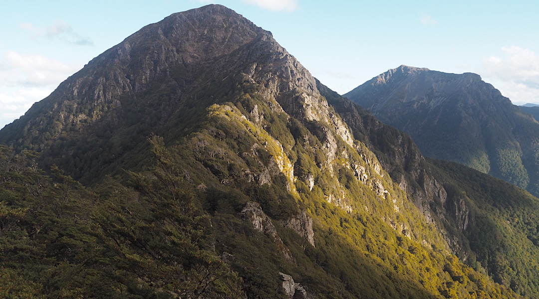 Mt Fell, 1601 m, with Mt Richmond, 1761 m,  behind. Going over both.  | Mt Richmond Forest Park circuit, April 2018