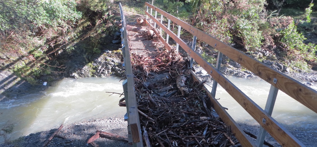 swingbridge near Hacket Hut, Mt Richmond Forest Park