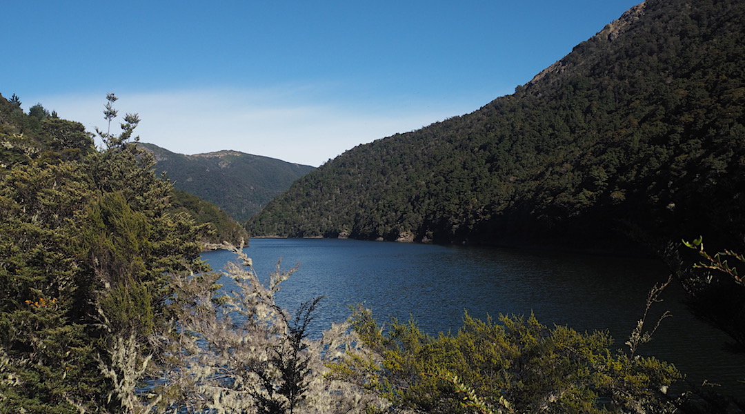 Lake Chalice appeared full after the recent period of rain.  | Mt Richmond Forest Park circuit, April 2018