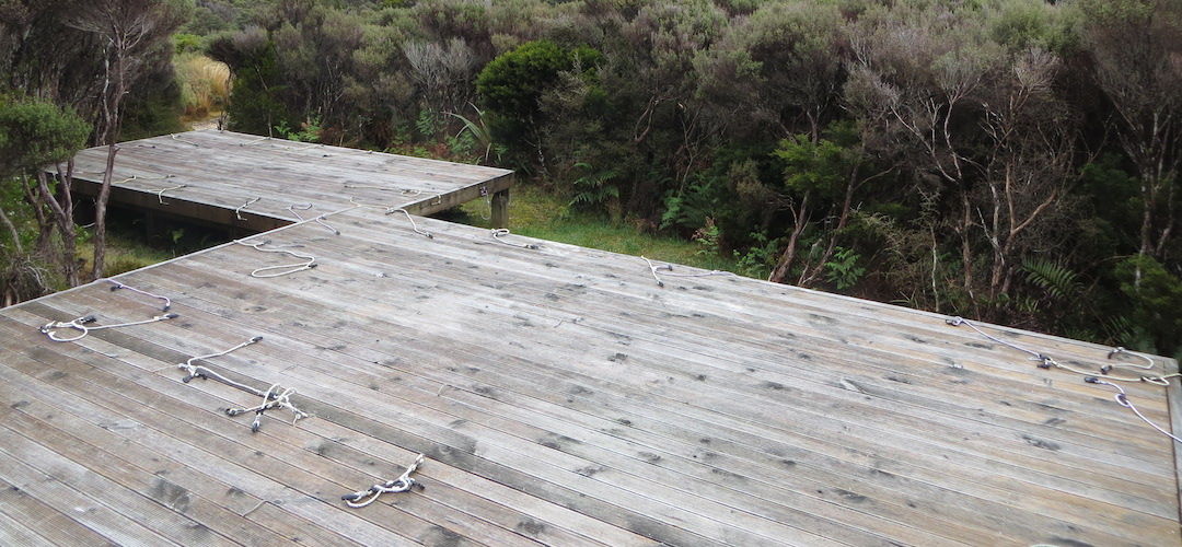Not many alternatives for campers at James McKay hut camping area, except the helicopter landing pad, and that ain't allowed. | James McKay hut campsite, Heaphy Track, Kahurangi National Park