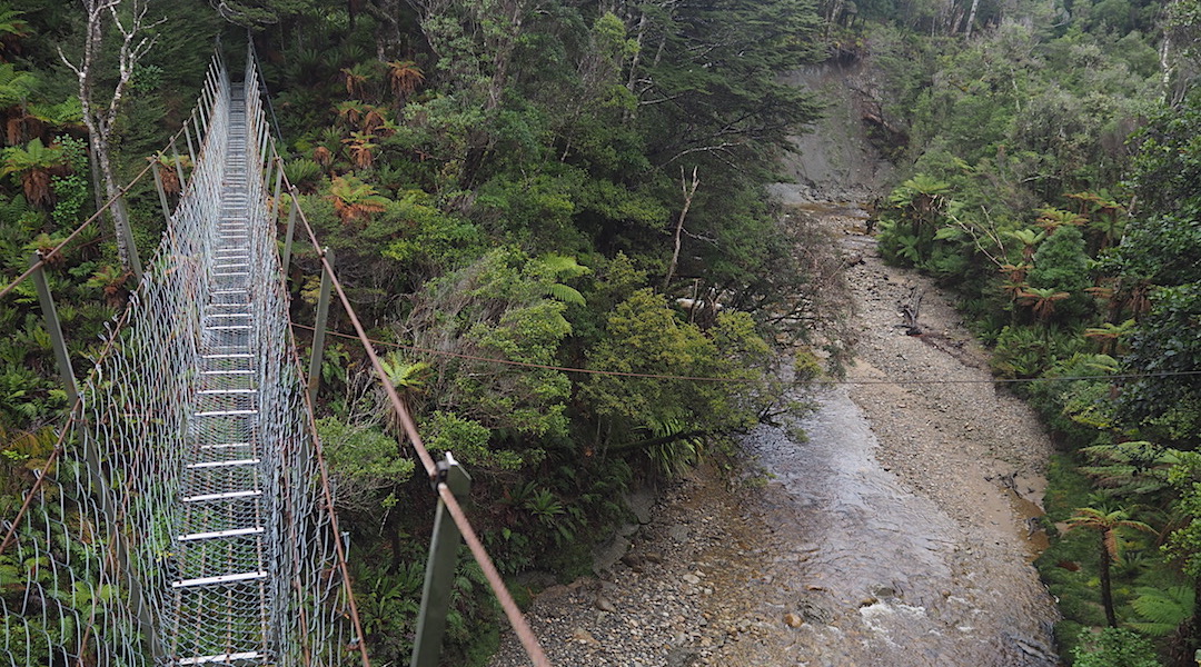 Most decent sized creeks are bridged.  | South Coast Track, Southern Fiordland