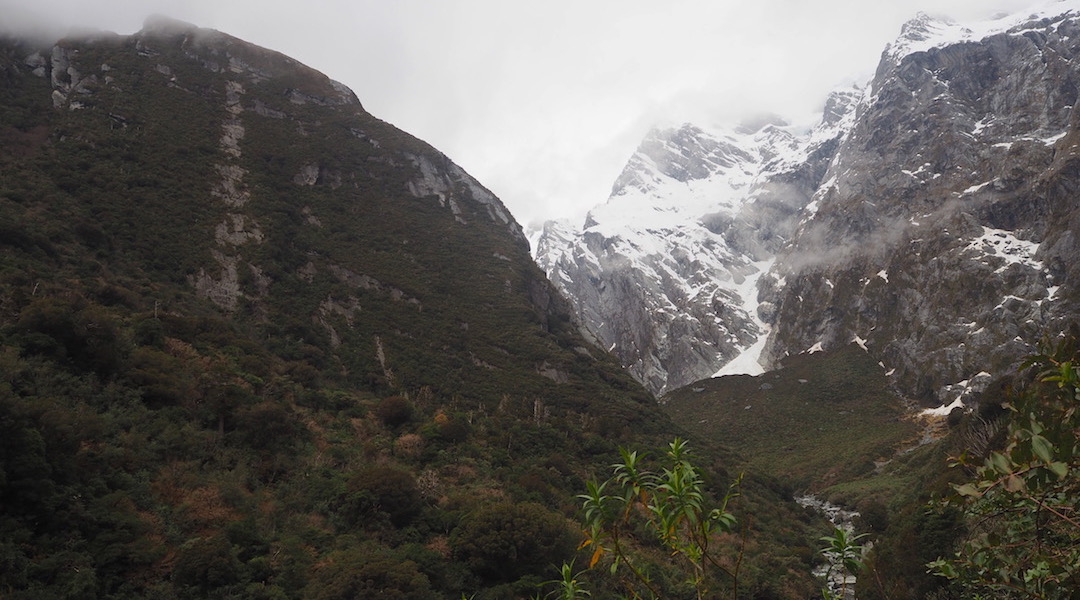 It's worth heading up to Douglas Rock Hut to experience some of the mountain grandeur. |  Copland Track, South Westland