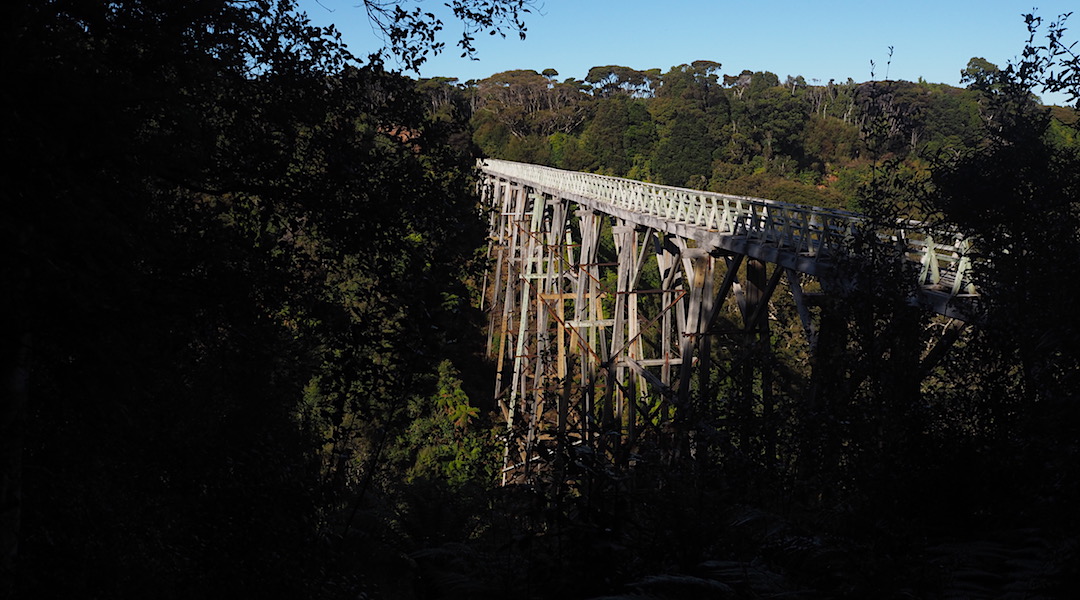 The Percy Burn viaduct built in the 1920s is a major engineering achievement. 35 m high. | South Coast Track, South Fiordland