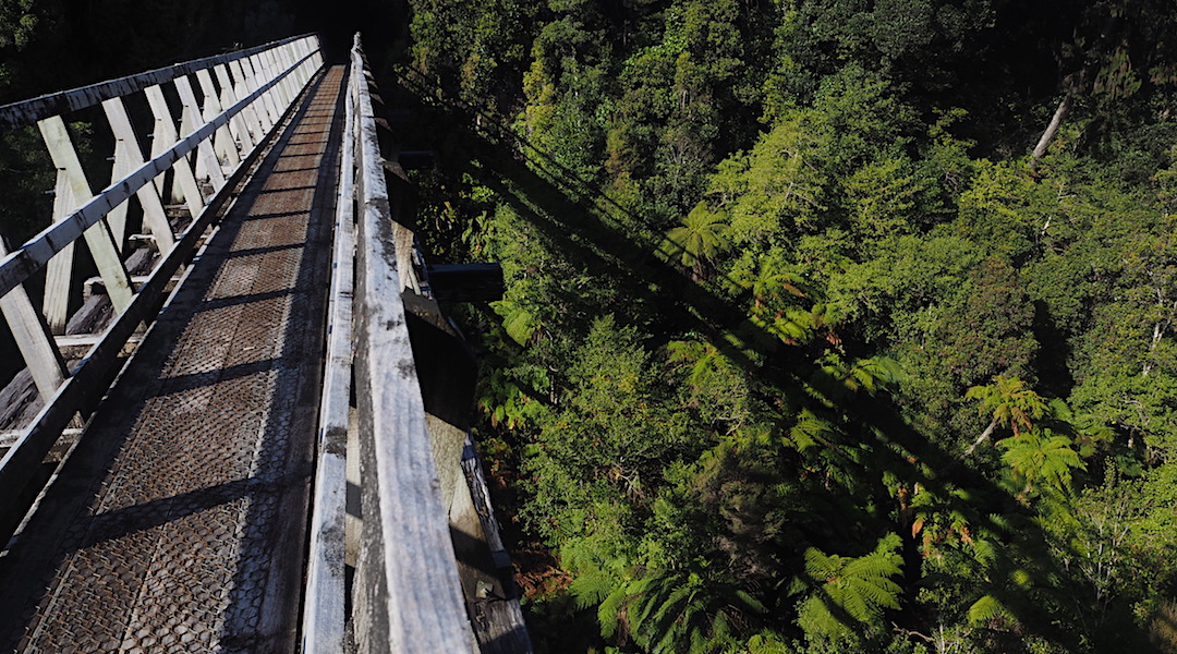 The first of four large tramway viaducts at Sandy Burn. | South Coast Track, Southern Fiordland