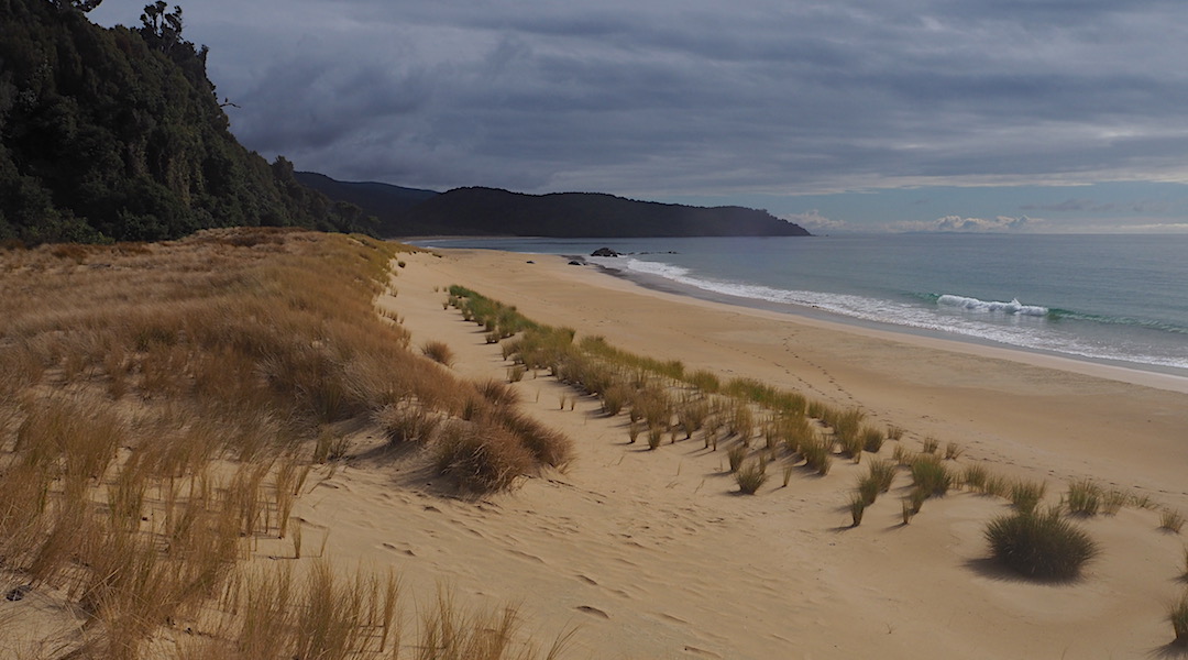 Deer tracks down on Murray Beach. On the way to Christmas Village Hut. | North West Circuit, Stewart Island/Rakiura