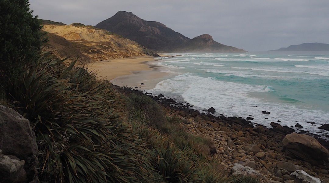 That Southern Ocean is pumping. And you need to get around that rocky bluff. West Ruggedy Beach  |  North West Circuit, Stewart Island/Rakiura