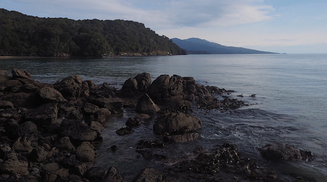 View to Mt Anglem/Hananui from near Port William. | North west Circuit, Stewart Island/Rakiura