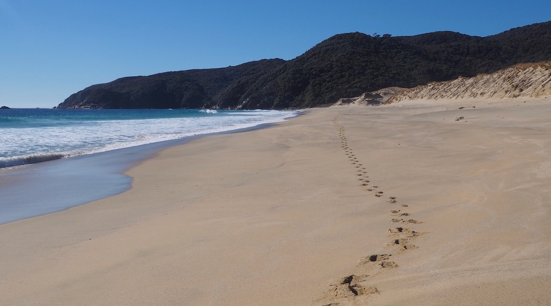 Hard work on Smokey Beach. The day is great.  | North west Circuit, Stewart Island/Rakiura