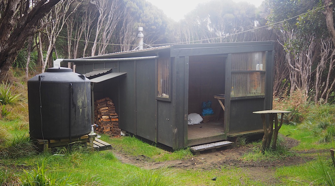 Someone's left a pile of decent manuka firewood. | Murray Hunters Hut, Stewart Island/Rakiura 