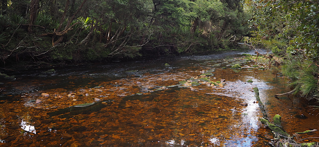 The attractive, and flowing Rakeahua River is right there. | Rakeahua River camping site, Stewart Island/Rakiura 