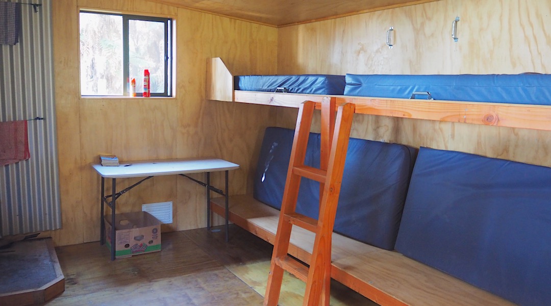 Comfy bunks.  | Smoky Hunters Hut, Stewart Island/Rakiura 