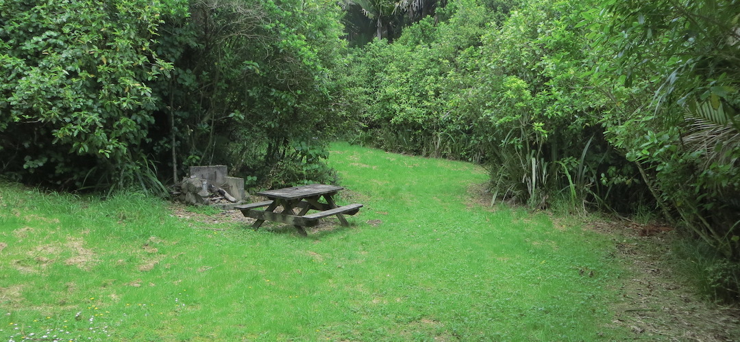 Scotts Beach campsite, Heaphy Track, Kahurangi National Park