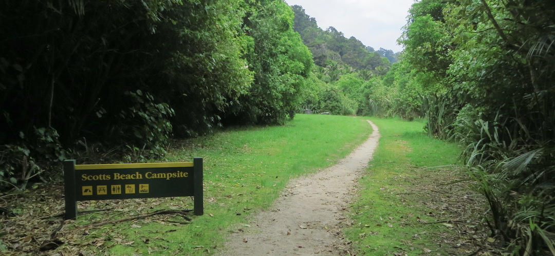 Scotts Beach campsite, Heaphy Track, Kahurangi National Park