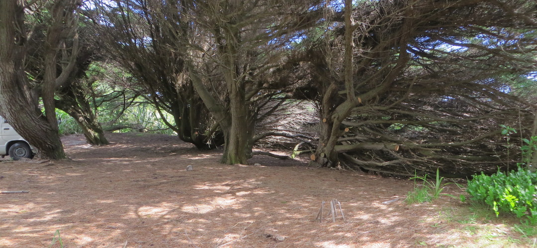 Kohaihai campsite, Heaphy Track, Kahurangi National Park