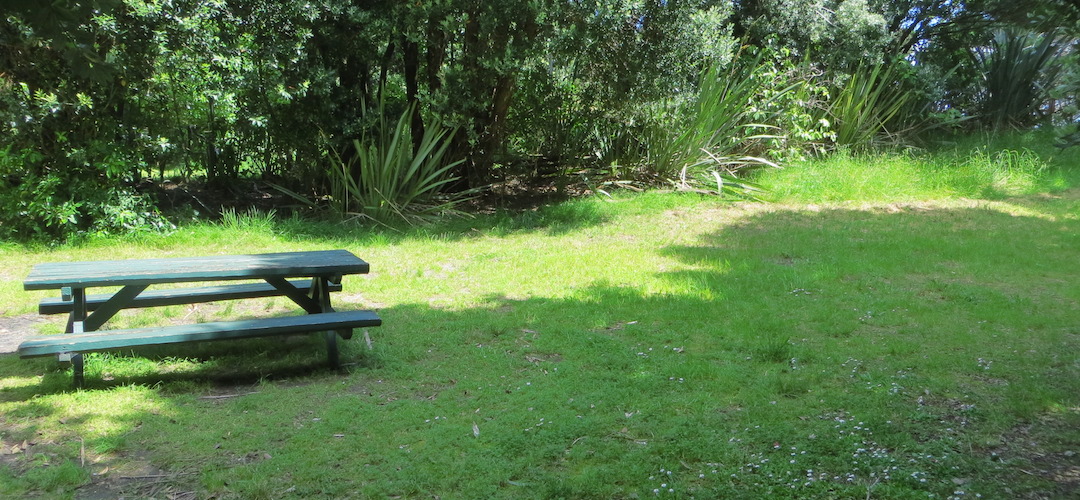 Kohaihai campsite, Heaphy Track, Kahurangi National Park