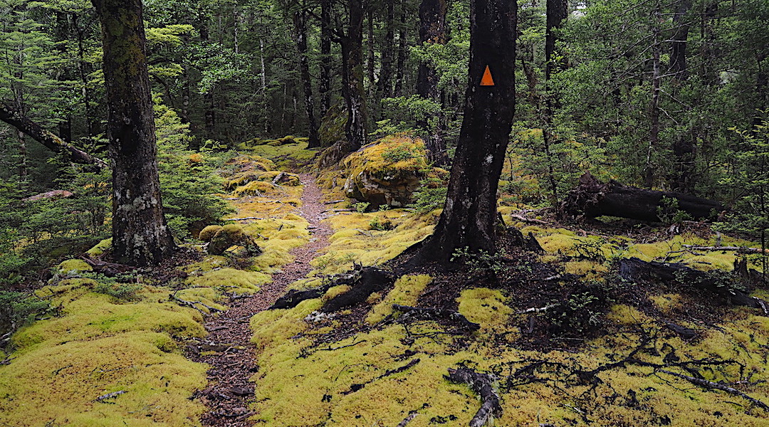 For some reason they call this area Pretty Bridge. | Upper Matakitaki River valley, Nelson Lakes National Park