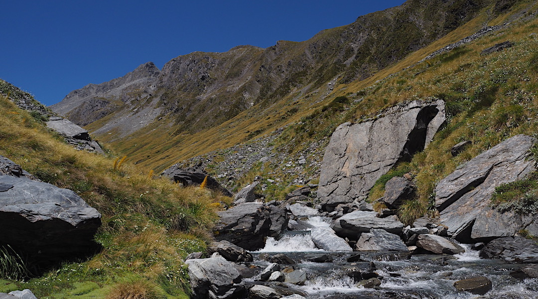 Looks delightful, but those are razor sharp speargrass in profusion. And, wet feet. | Upper Matakitaki River valley, Nelson Lakes National Park