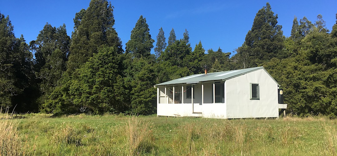 Down on the river flats. | Coppermine Creek Hut, Haast Paringa Cattle Trail
