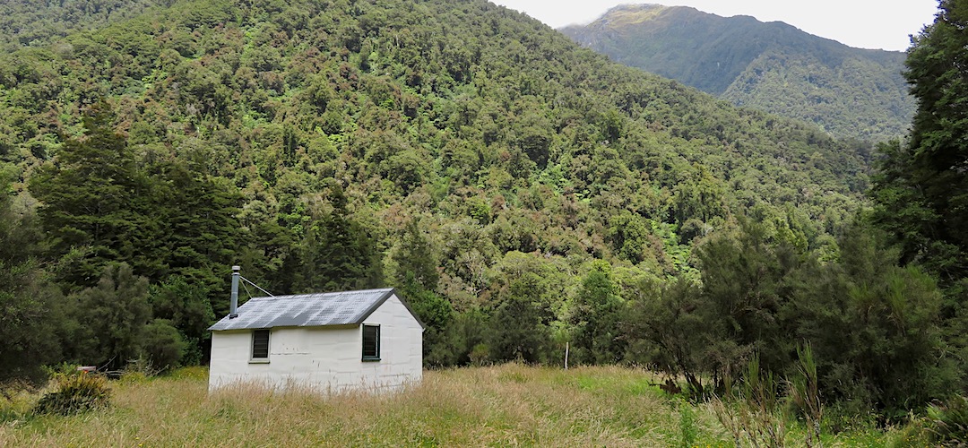 The hut is located at the end of the big clearing. | Horseshoe Flats Hut, Moeraki Valley Trail