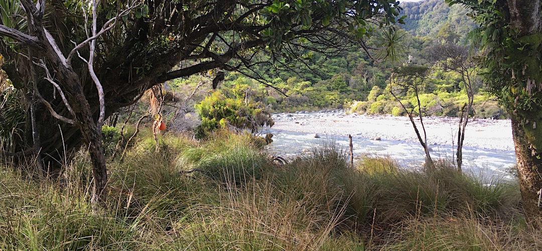 Look for the fishing buoy to find possible tent sites. | Hacket River campsite, Barn Bay to Big Bay coastal route