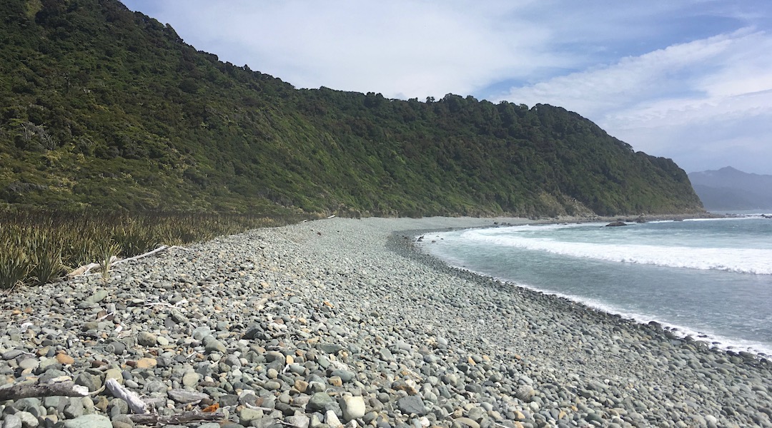 Sandrock Bluff proved an obstacle to the 1973 road builders, but while overgrown, that track gets you over it. | Cascade River to Gorge River, South Westland