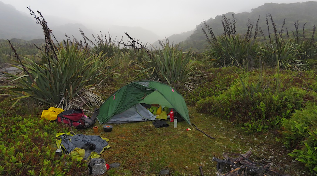 Not much room in my tent. Sandflies not shown. | Callery Creek campsite, South Westland