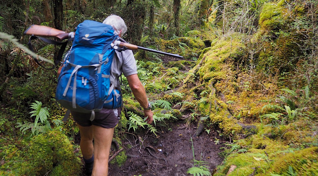 What was that, he asked. Rifle barrel pointed at my head. | Moeraki River valley, South Westland