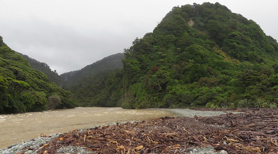 The river is bigger, stronger flowing, and a different colour after heavy rain. | Gorge River gorge, South Westland