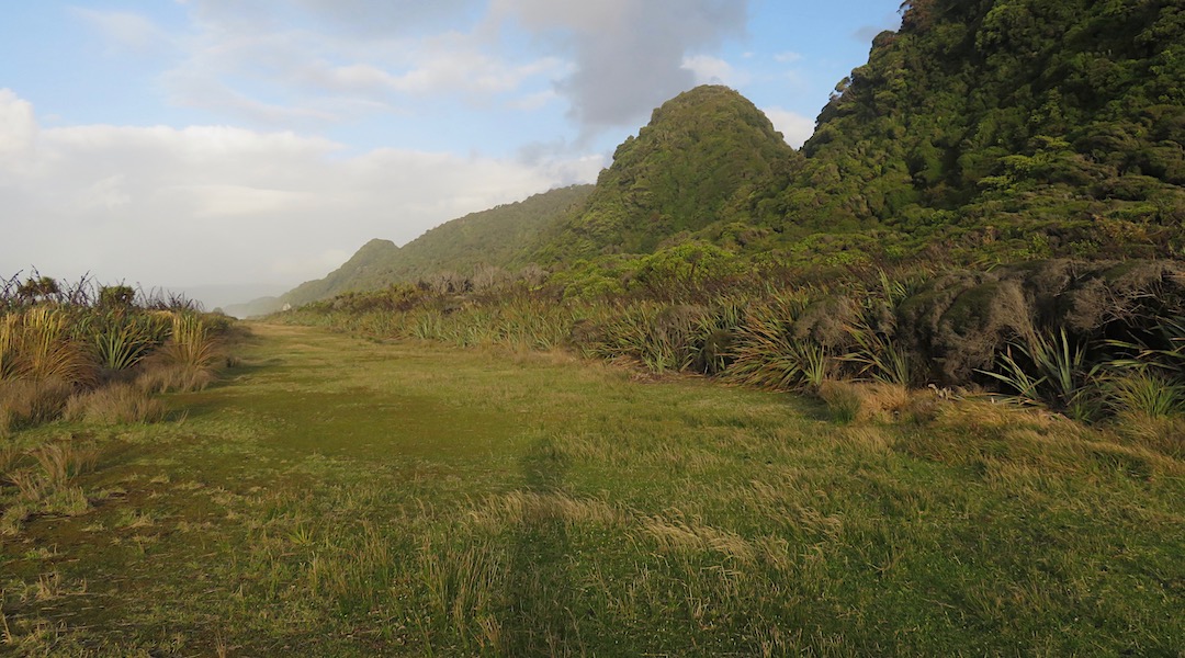 The airstrip at Gorge River. Has been eaten away by storms in the middle. Almost looks tropical. It wasn't. | Gorge River, South Westland