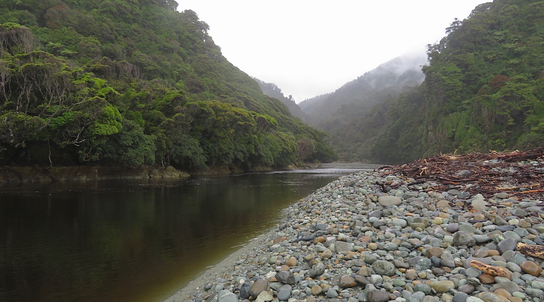 Gorge River after the flooding. Getting back to non-flood level. | Gorge River, South Westland