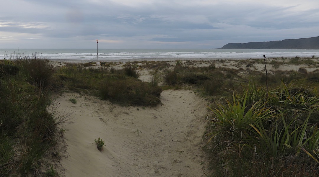 Back to full gloom. Getting down to Big Bay Beach. | Big Bay, South Westland