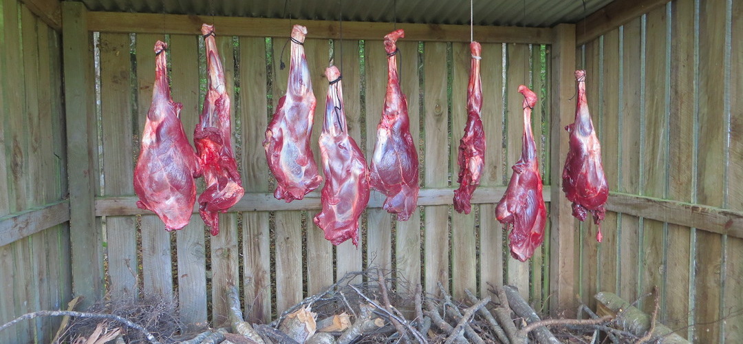 deer legs, Huranui Hut, Lake Sumner Forest Park