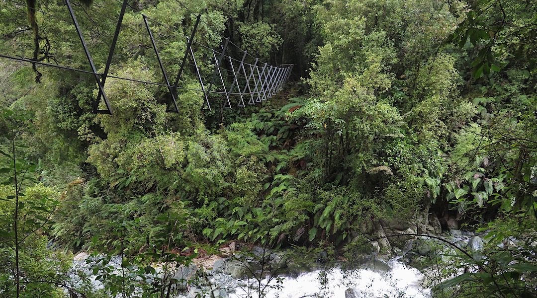 One of a few three-wire bridges on the Demon Trail. | Hollyford track, Fiordland National Park